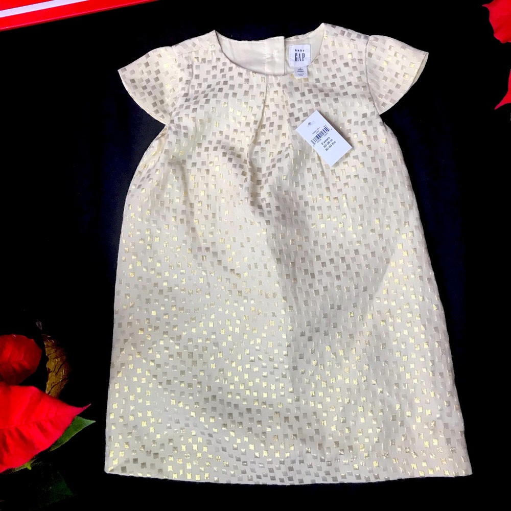Baby GAP Dress 2T